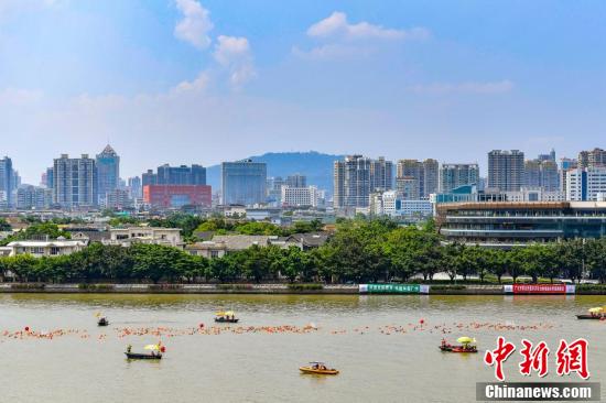 广州上千“泳士”炎炎夏日横渡珠江