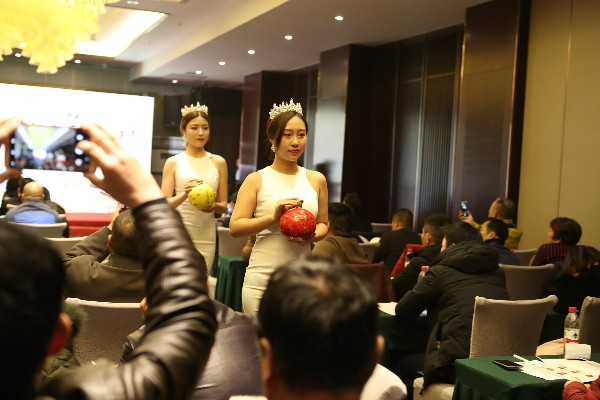 古都牡丹争艳 金酒香飘洛阳金门