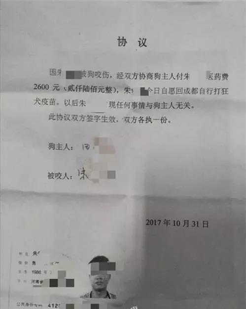 碰瓷新套路，居然连狗都不放过 ，汪星人也躺枪