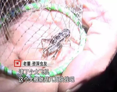 河南男子靠抓虫发家致富 赚百万盖起新房