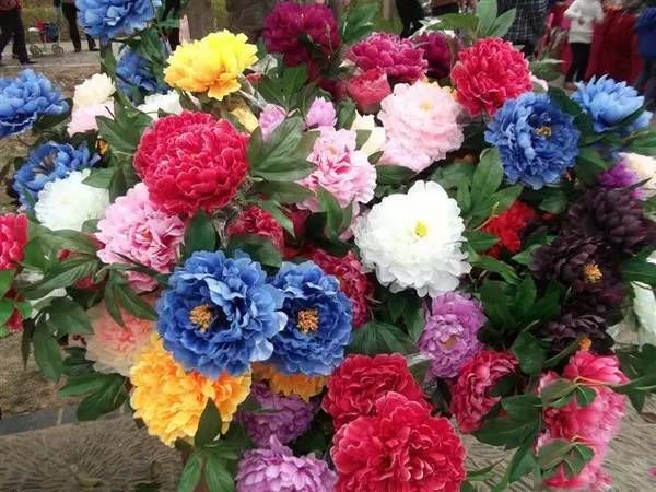 网评中国10大花节排行榜 河南俩花节上榜