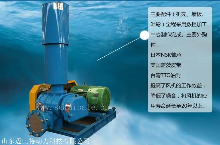 三叶罗茨风机WHSR150型低压风机