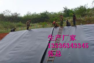 欢迎,绵阳螺旋型聚醇纤维—钢纤维大全