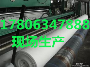 东阳市土工布