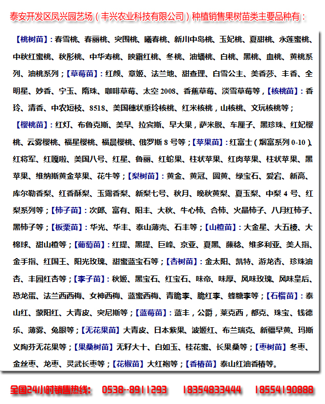 软籽石榴苗今秋批发价格