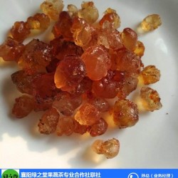 枣阳桃花岛(多图)|当阳桃胶制作如何