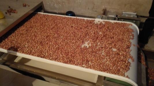 供应隧道式微波杂粮干燥机 小型输送带式花生熟化设备