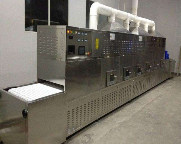 供应隧道式微波杂粮干燥机 小型输送带式花生熟化设备