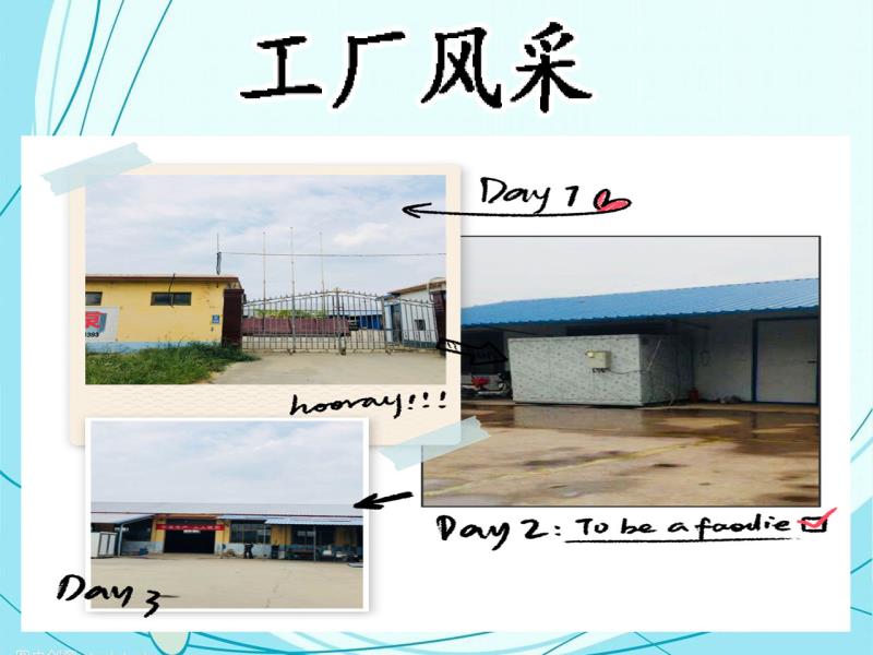 板材木板微波烘干机红木家具微波干燥设备烘干箱干燥房