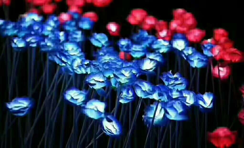 室内灯光节制作工厂景区亮化