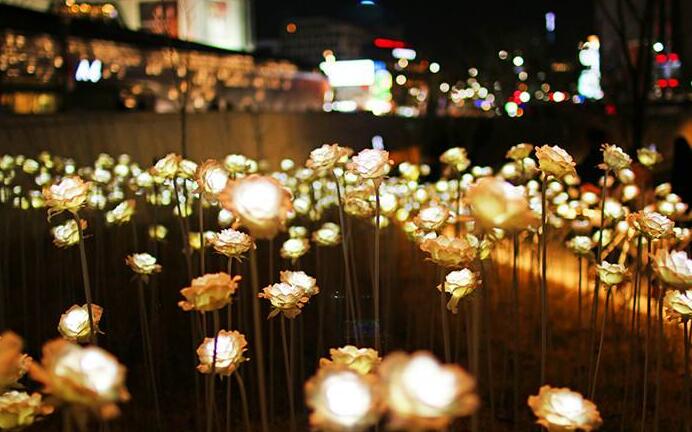 灯光节光影公司景区亮化