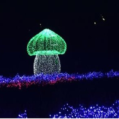 灯光节光影公司景区亮化
