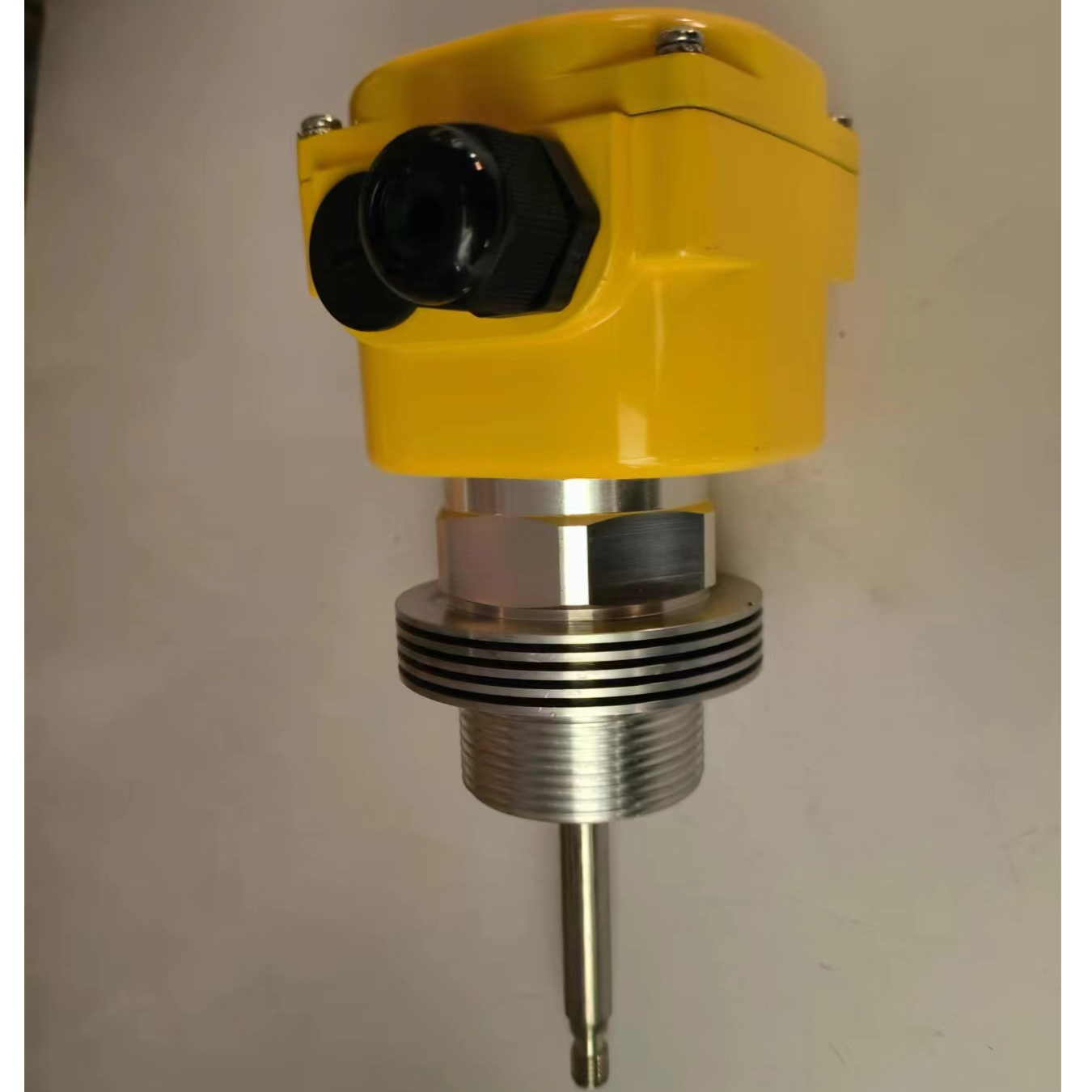 EMA伊玛阻旋式料位开关高温型 SRT20