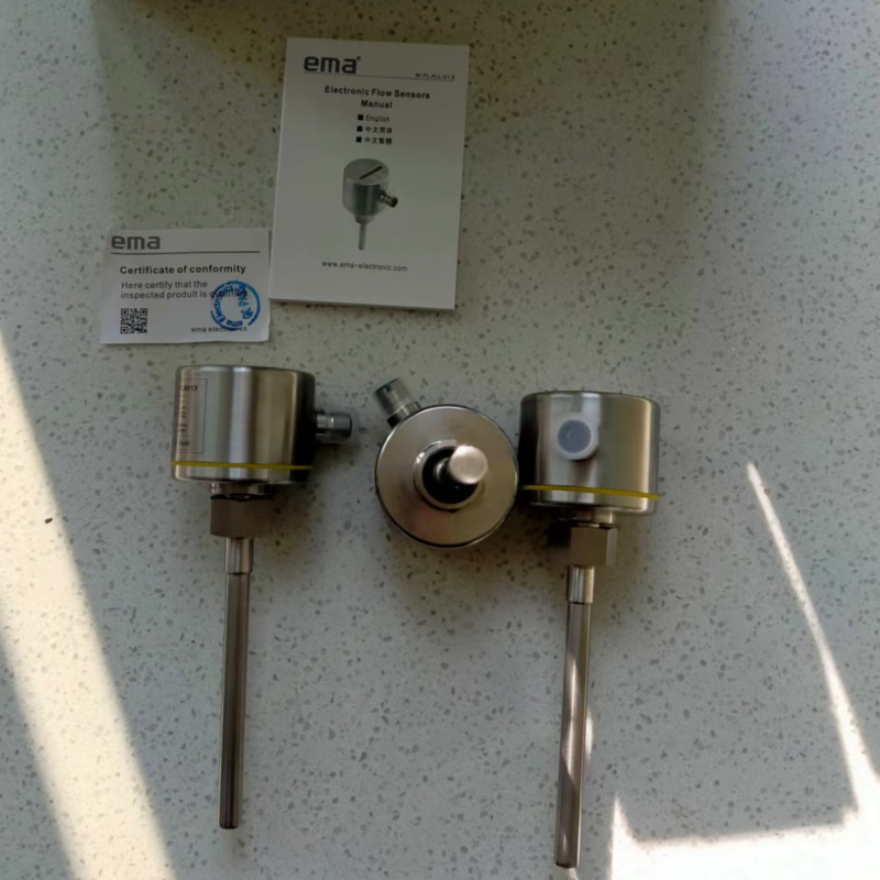 EMA伊玛流量开关 流动传感器 FL6013
